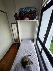 Eco Sanctuary (D23), Condominium #458545741